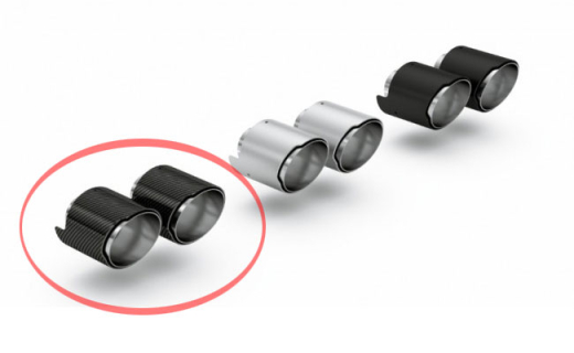 Eisenmann Endschalldämpfer 4x Ø 110 mm