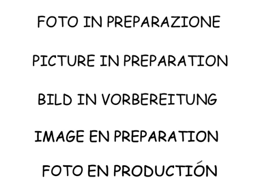 Ragazzon Mittelrohr (ohne Zulassung)