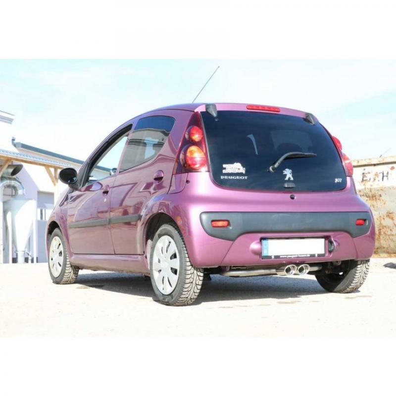 Fox Endschalldämpfer 2x106x71mm mittig