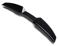 Akrapovic Hecklippe (Carbon)