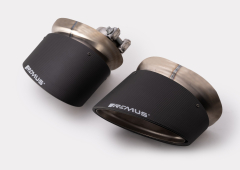 Remus Endrohr-Set links/rechts 175x108mm schräg Carbon